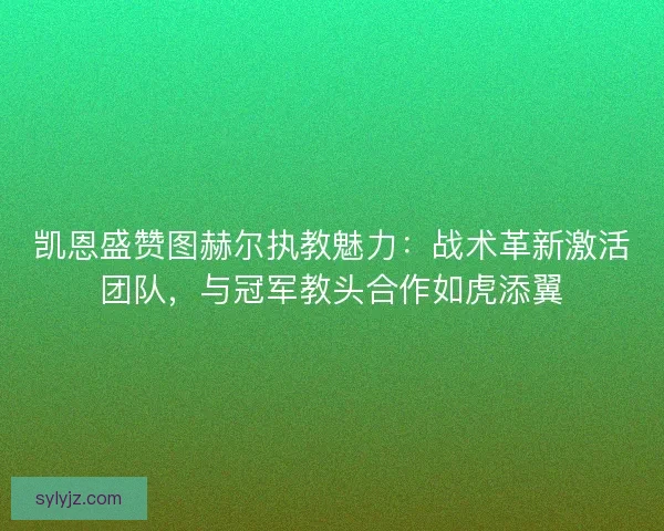 凯恩盛赞图赫尔执教魅力：战术革新激活团队，与冠军教头合作如虎添翼