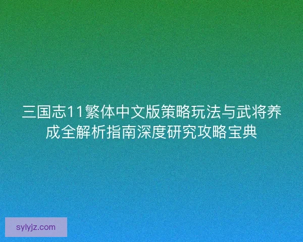 三国志11繁体中文版策略玩法与武将养成全解析指南深度研究攻略宝典