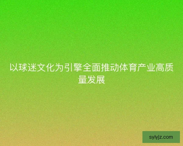 以球迷文化为引擎全面推动体育产业高质量发展