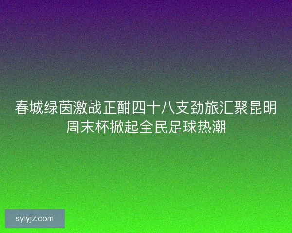 春城绿茵激战正酣四十八支劲旅汇聚昆明周末杯掀起全民足球热潮