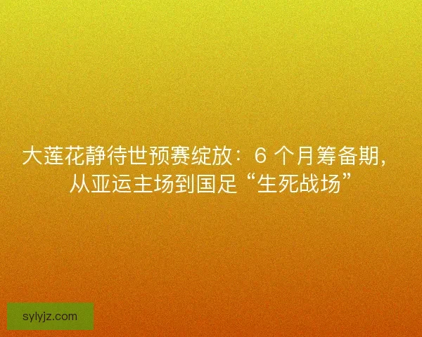 大莲花静待世预赛绽放：6 个月筹备期，从亚运主场到国足 “生死战场”