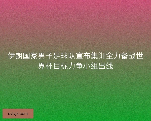伊朗国家男子足球队宣布集训全力备战世界杯目标力争小组出线
